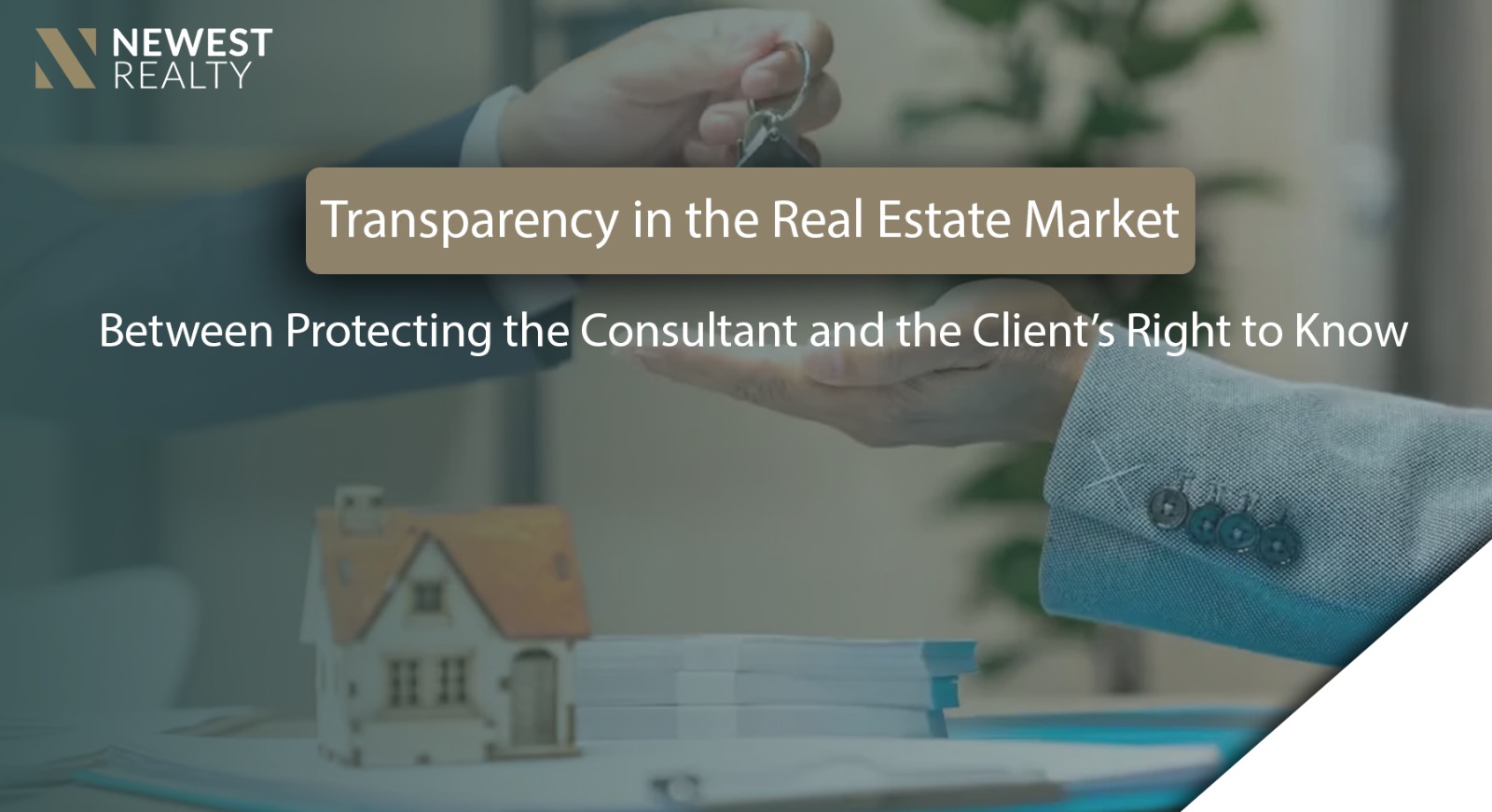 Transparency in the Real Estate Market: Balancing Client Rights and Consultant Protection
