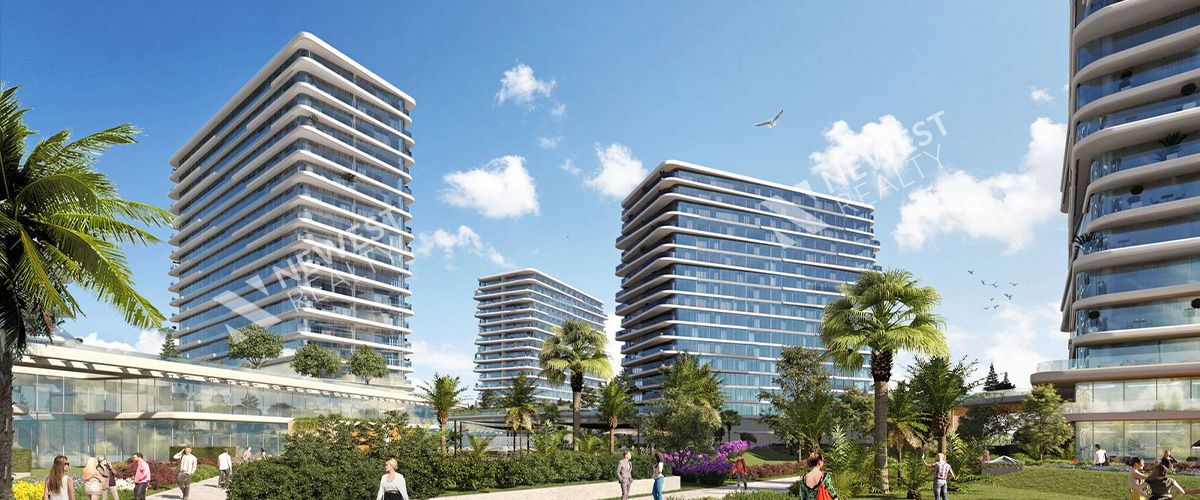 Yedi Mavi Project