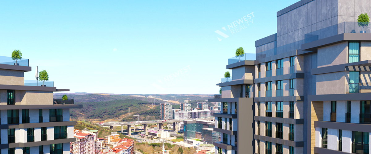 Dora Vadi Project