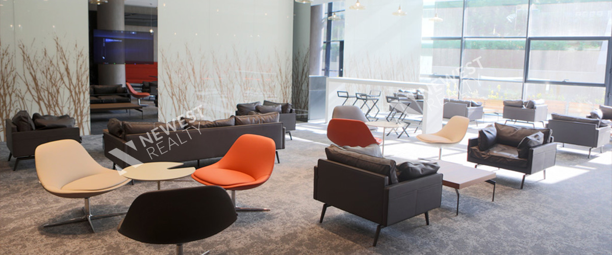 Premier Campus (بريمير كامبوس)