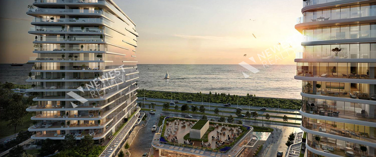Yedi Mavi Project