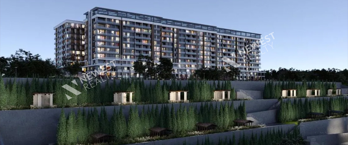 Empire Paradise Project
