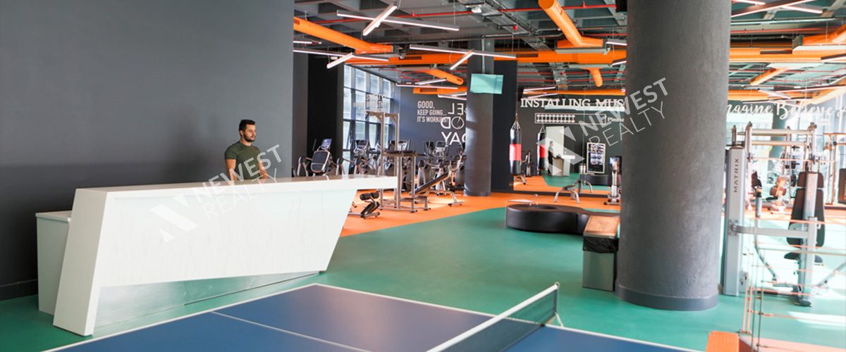 Premier Campus (بريمير كامبوس)